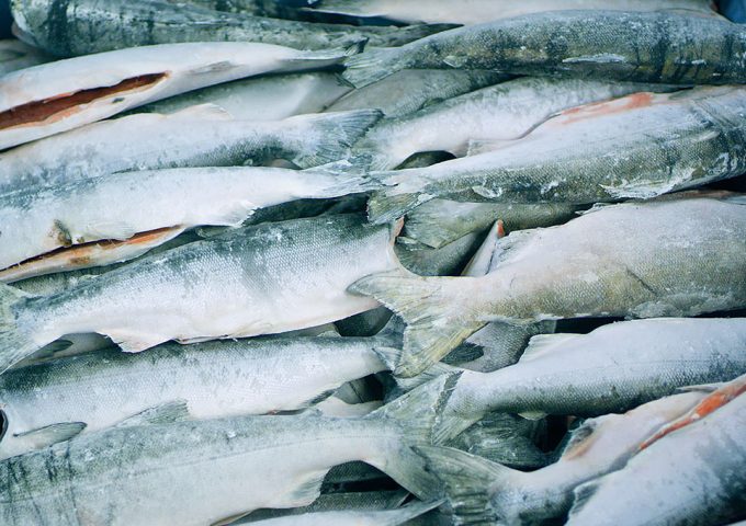 index-b-_0003_200110_PROCESSING SOCKEYE 1_CF